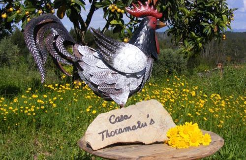 Tabua Apartment | Pet-Friendly Casa Thocamalu's with Pool & Top Ratings