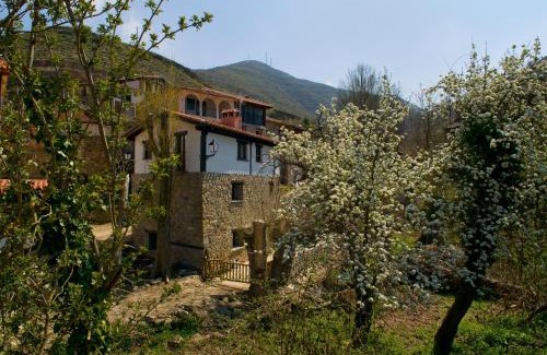 San Roman de Cameros House | Discover Casa Tio Conejo: Pet-Friendly Retreat with Pool