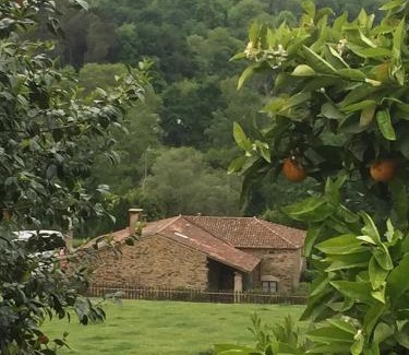 Vila de Cruces House | Casa Torres: Guest Favorite with Spa & Pet-Friendly Perks