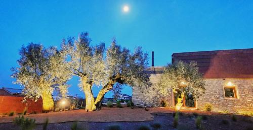 Fatima House | Top-Rated Casa Tosca: Family-Friendly with Breakfast Included