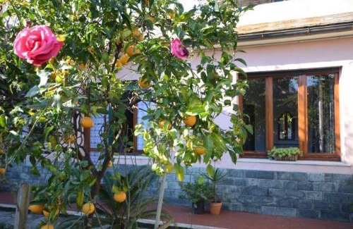 Sant'Ilario Apartment | Discover Casa Tra Il Verde E Il Blu: Oceanfront Getaway