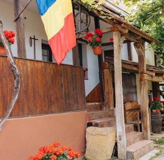 Vistea de Jos House | Discover Casa Tradițională Transilvăneana: Rated 9.7/10!