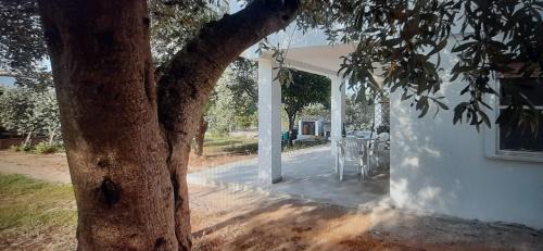 Tertenia Apartment | casa vacanza le bleu et le vert a 180 mt dal mare