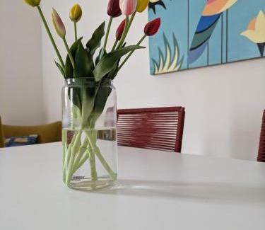 San Pietro in Lama House | Cozy Palazzo San Pietro: Ideal for Families and Pets