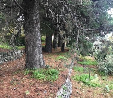 Piedimonte Etneo House | Exceptional Casa Vacanze Etna: Pet-Friendly Retreat Awaits
