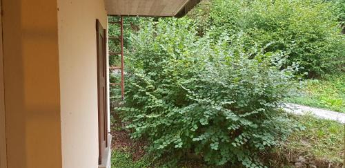 Lavarone House | Explore Casa Vacanze in Trentino: Family & Pet Friendly Stay