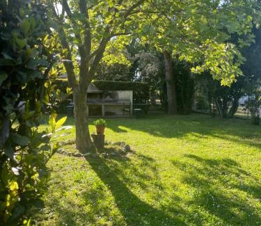 Cortaccione Apartment | Relaxing Oceanfront Escape at Casa Vacanze Nonna Vittoria