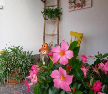 Romeno Apartment | Guest Rated: Casa Vacanze Paola - Family & Pet Friendly Stay