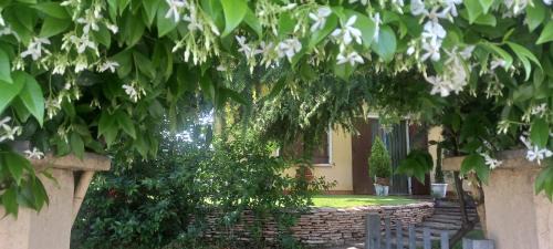 Pescantina Villa | Discover Casa Vacanze Principesca: Oceanfront Bliss Awaits