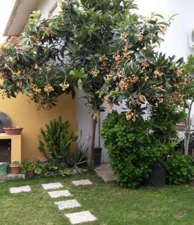 San Vito House | Unwind at Casa vacanze Rose E Fiori in Beautiful Sardegna