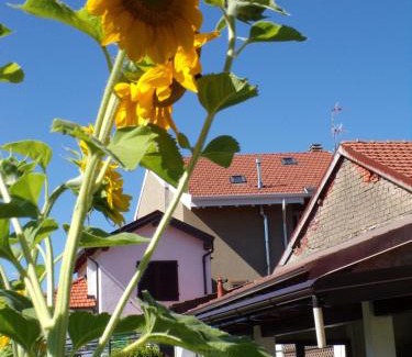 Invorio House | Oceanfront Getaway at Casa Vacanze Terra di Mezzo