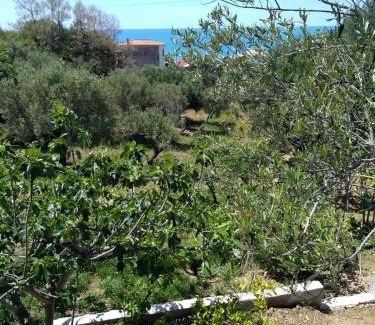 Marina di Pisciotta House | Discover CASA VACANZE THALIA - Ideal for Families & Pets