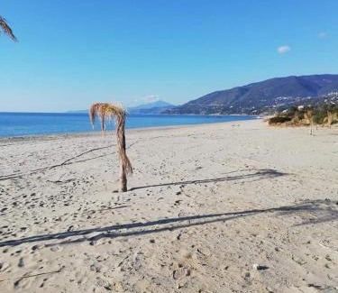 Marina di Pisciotta House | Discover CASA VACANZE THALIA - Ideal for Families & Pets