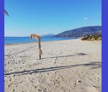 Marina di Pisciotta House | Discover CASA VACANZE THALIA - Ideal for Families & Pets