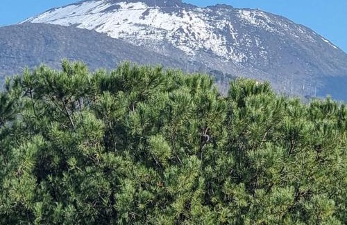 Ercolano Apartment | Unforgettable Vesuvius View: 4-Star, Pet Friendly Retreat