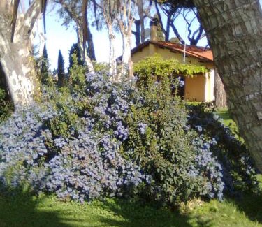 Lake Bracciano House | Discover Vigna Di Valle: Pet-Friendly Retreat with Ocean Views