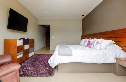 El Santuario House | Discover Pet-Friendly Comfort at Casa Valentina Hotel