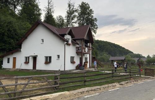 Vama Buzaului House | Child-Friendly Retreat at Casa Vanatorului Buzaiel, 10/10 Rated