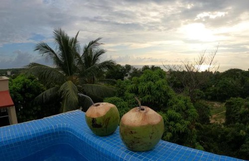 Brisas de Zicatela Apartment | Pet-Friendly Casa Vasquez with Ocean Views and Pool