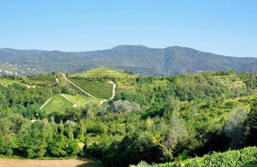 Gavi Apartment | Casa Vera: Highly Rated Family & Pet-Friendly Retreat