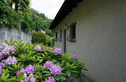 Minusio House | Casa Verbanella: Family-Friendly Escape with 9.7 Rating