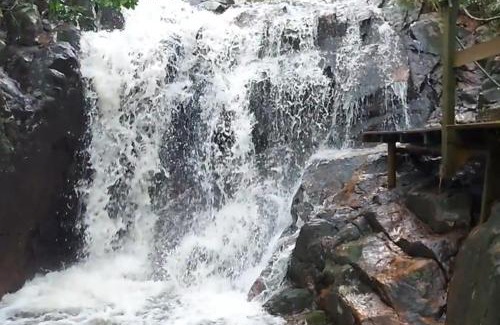 Siriu House | Explore Casa Verde: A 4-Star Retreat Awaits You