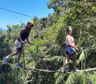 Siriu House | Explore Casa Verde: A 4-Star Retreat Awaits You
