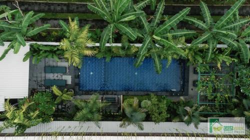 Mengwi House | Budget-Friendly Casa Verde Guesthouse with Pool Access