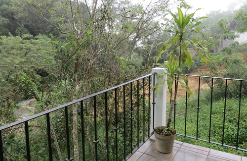 Xilitla Hotel | Discover Casa Verde Xilitla: Family-Friendly Getaway