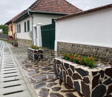 Arpasu de Sus House | Elegant Casa Veronica with a Guest Rating of 9.2/10