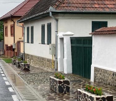 Arpasu de Sus House | Elegant Casa Veronica with a Guest Rating of 9.2/10