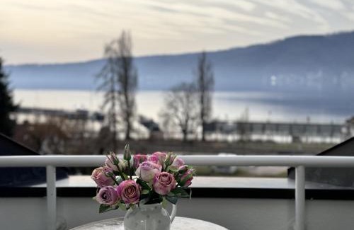 Ludwigshafen Apartment | Family-Friendly Stay at Casa Via Bodman-Ludwigshafen
