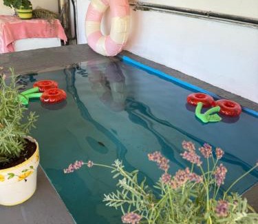Lamego House | Casa Vicente: Pet-Friendly Retreat with Ocean View & Spa