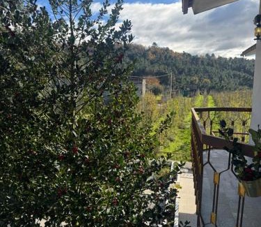 Lamego House | Casa Vicente: Pet-Friendly Retreat with Ocean View & Spa
