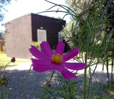 Carpinteria House | Cozy Casa Villa Alba: Family-Friendly Getaway in Carpinteria