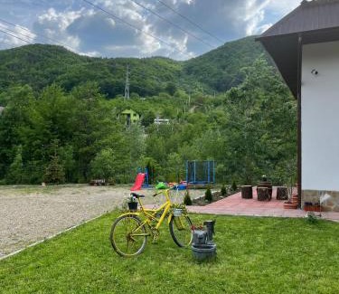 Nehoiu House | Casa Vio: Family-Friendly Retreat with Pool and Hot Tub