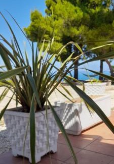 Mattinata Apartment | Casa Vittoria: Oceanfront Getaway with Pet-Friendly Perks