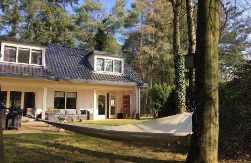 Otterlo House | Experience Casa Vogelenzang: Pet-Friendly with Pool Access