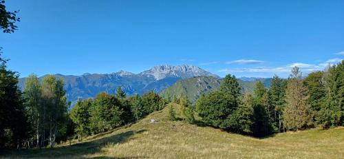 Songavazzo Apartment | Family-Friendly Escape at Casa Zio Ubaldo - Guest Rated 9/10