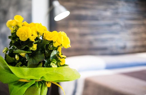 Santo Stefano di Camastra Bed & Breakfast | Cozy Casadada Bed and Breakfast: Pet Friendly Retreat