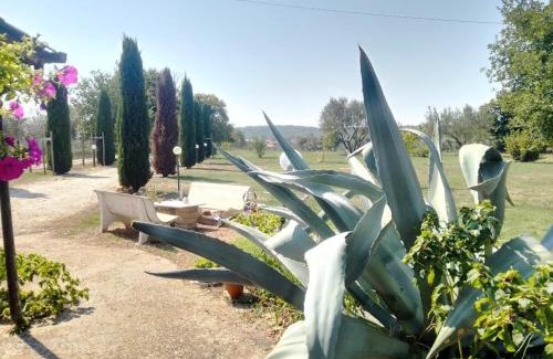Barbarano Romano Apartment | Relax at Casale Campecora: Pool & Family-Friendly Stay