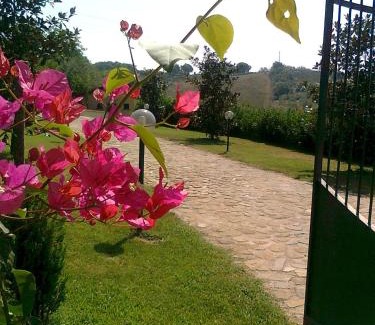 Altavilla Silentina Bed & Breakfast | Discover Casale Degli Ulivi Prestige: Family & Pet Friendly Stay