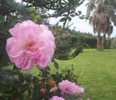 Ciro Marina Bed & Breakfast | Top-Rated Family Stay at Casale degli Ulivi Retreat