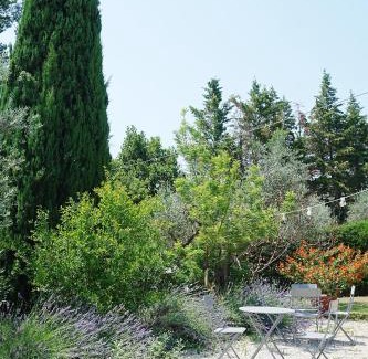 Citta Sant'Angelo Bed & Breakfast | Pet-Friendly Retreat at Casale delle Lavande - Rated 9.6/10