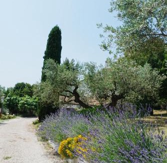 Citta Sant'Angelo Bed & Breakfast | Pet-Friendly Retreat at Casale delle Lavande - Rated 9.6/10