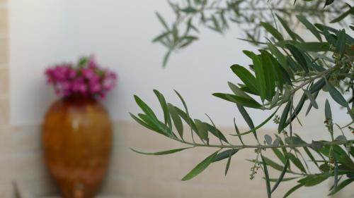 Fasano Bed & Breakfast | Escape to Casale Giuseppe: Relax with Hot Tub & Dining