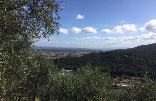 Buti Villa | Discover Casale l’oliveta: Oceanfront Haven with Pool