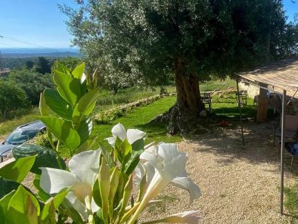Noto House | Casale Micale