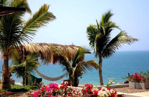 Punta Sal House | Experience casaNorte: Oceanfront Bliss & Whale Watching