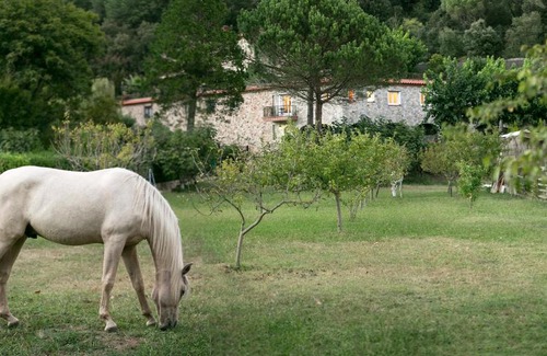 Arbucies Apartment | Pet-Friendly Retreat at Casanova Del Monjo with Pool & Hot Tub